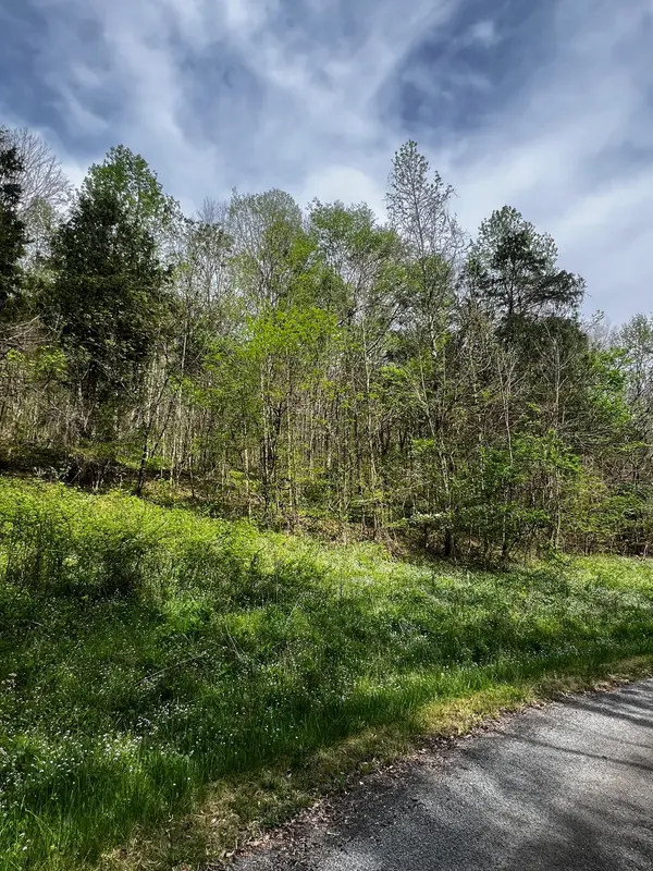 0 Weber Lane, Celina, TN 38551