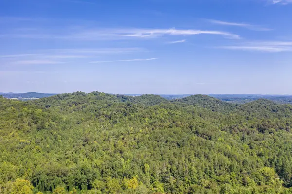 1125 Scenic River Road, Madisonville, TN 37354