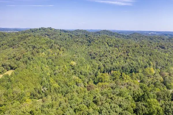 1125 Scenic River Road, Madisonville, TN 37354