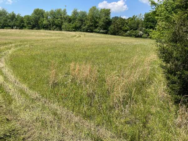 0 Maynard Lane, Columbia, TN 38401