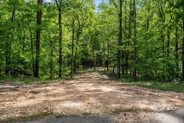 0 Rustling Oaks Dr, Waverly, TN 37185