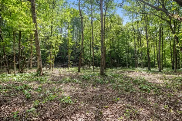 0 Rustling Oaks Dr, Waverly, TN 37185