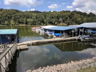 1 Forest Trl, Bumpus Mills, TN 37028