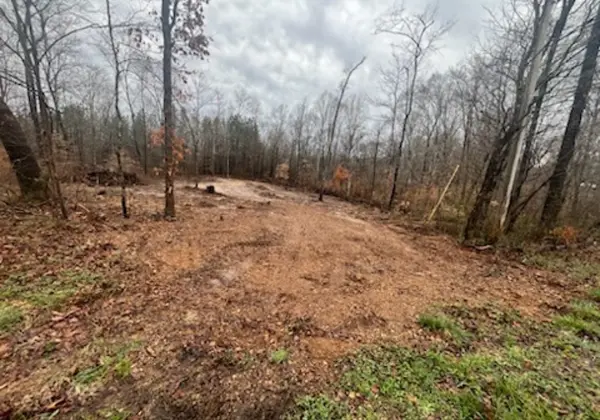 1 Forest Trl, Bumpus Mills, TN 37028