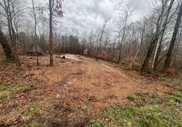 1 Forest Trl, Bumpus Mills, TN 37028