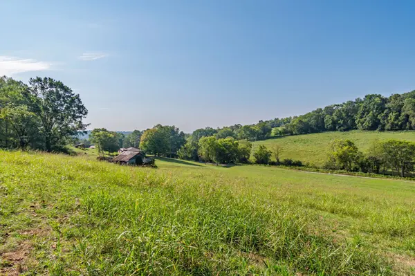 5170 Steam Mill Hollow Road, Williamsport, TN 38487