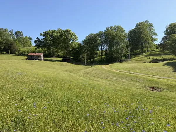 5170 Steam Mill Hollow Road, Williamsport, TN 38487