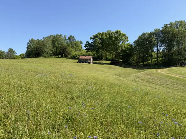 5170 Steam Mill Hollow Road, Williamsport, TN 38487