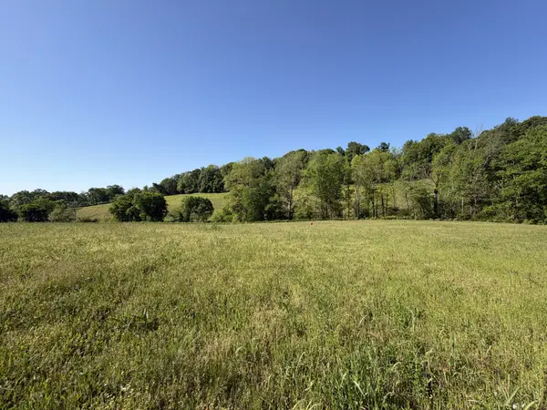 0 Steam Mill Hollow Road, Williamsport, TN 38487