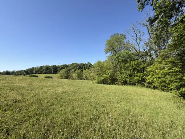 0 Steam Mill Hollow Road, Williamsport, TN 38487