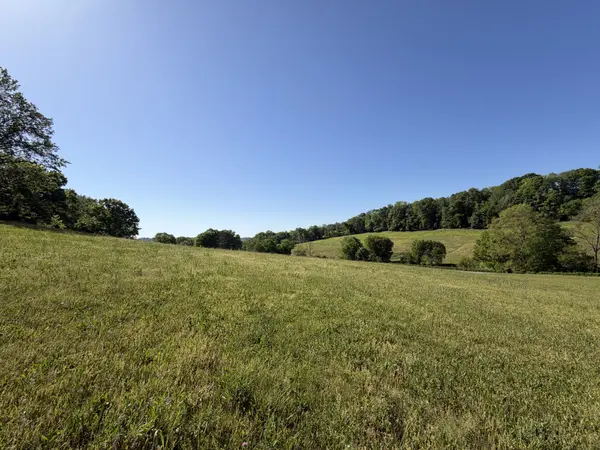 0 Steam Mill Hollow Road, Williamsport, TN 38487
