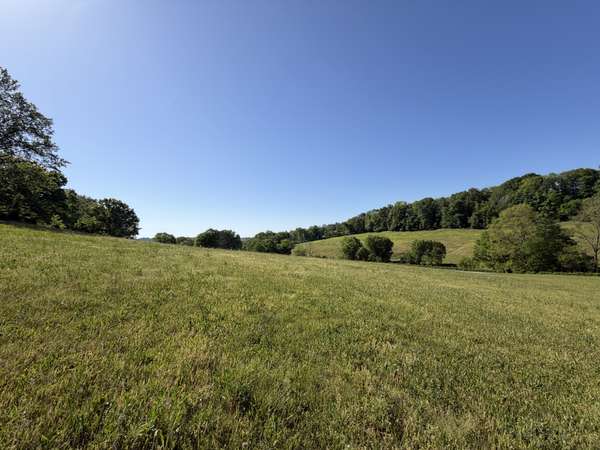0 Steam Mill Hollow Road, Williamsport, TN 38487