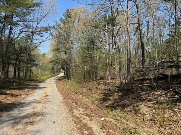 0 Sandys Camp Road, Big Sandy, TN 38221