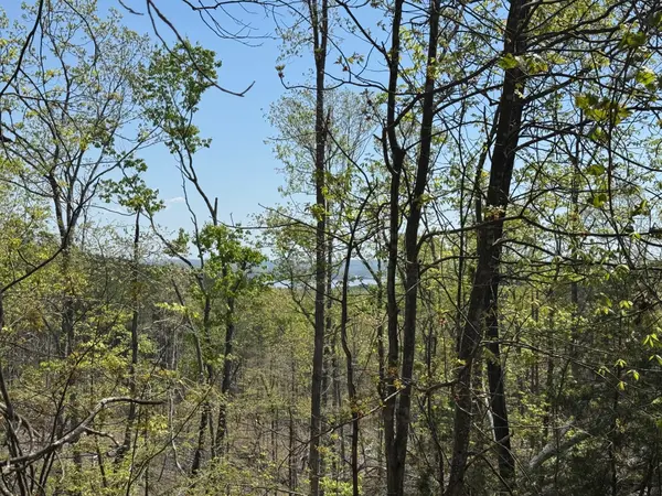 0 Sandys Camp Road, Big Sandy, TN 38221