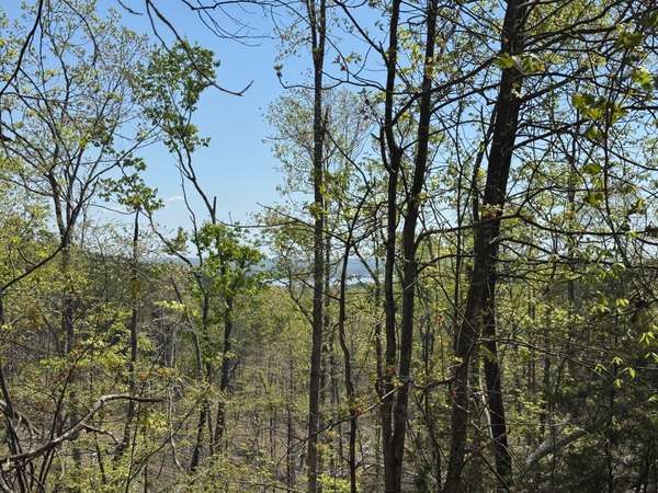 0 Sandys Camp Road, Big Sandy, TN 38221