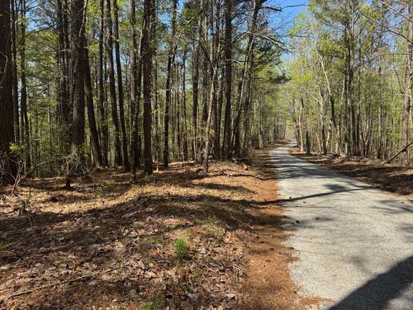 0 Sandys Camp Road, Big Sandy, TN 38221