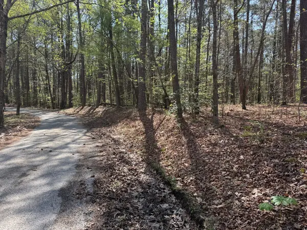 0 Sandys Camp Road, Big Sandy, TN 38221