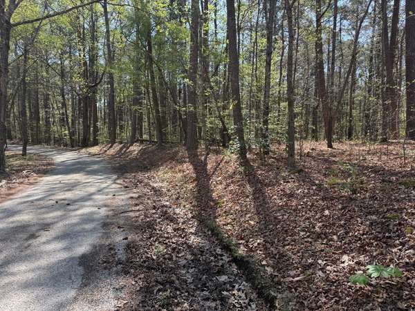 0 Sandys Camp Road, Big Sandy, TN 38221