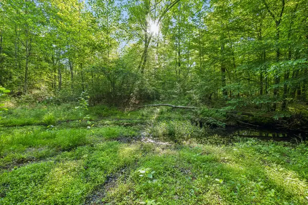 0 Rebecca West Rd, Fayetteville, TN 37334