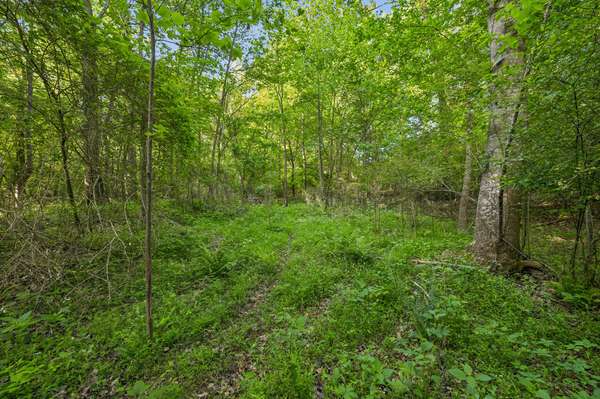 0 Rebecca West Rd, Fayetteville, TN 37334