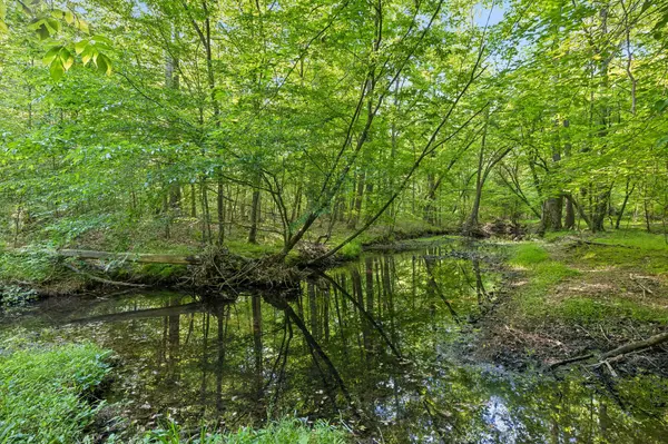 0 Rebecca West Rd, Fayetteville, TN 37334