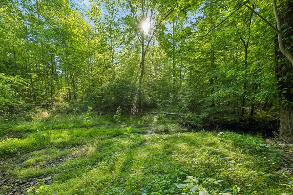 0 Rebecca West Rd, Fayetteville, TN 37334