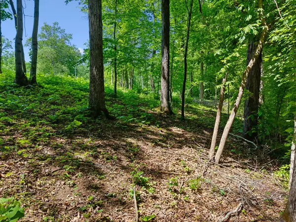 0 Casparis Road, Franklin, TN 37064