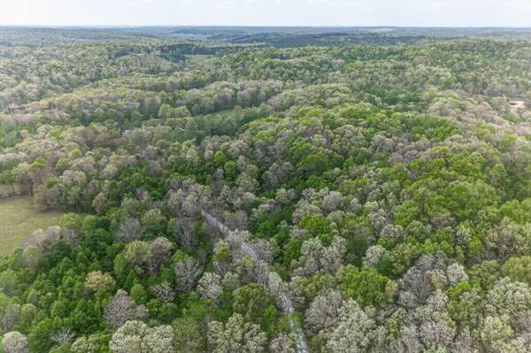 0 Dunford Lane, Allardt, TN 38504