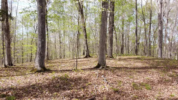 0 Off Johnson Chapel Rd, Sparta, TN 38583