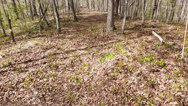 0 Off Johnson Chapel Rd, Sparta, TN 38583