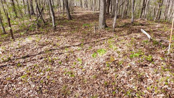 0 Off Johnson Chapel Rd, Sparta, TN 38583