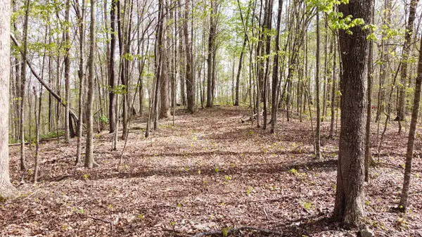 0 Off Johnson Chapel Rd, Sparta, TN 38583