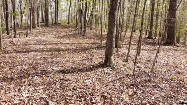 0 Off Johnson Chapel Rd, Sparta, TN 38583