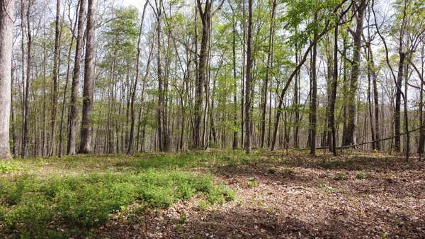 0 Off Johnson Chapel Rd, Sparta, TN 38583