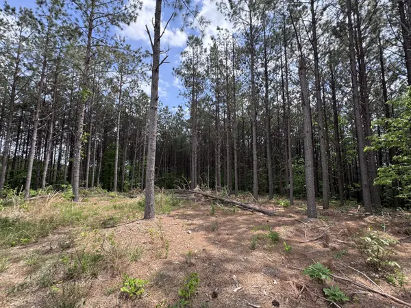 132 Rocky Top Dr, Hohenwald, TN 38462