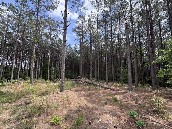 132 Rocky Top Dr, Hohenwald, TN 38462