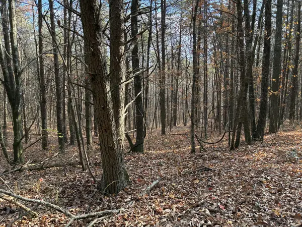 360 Bootleg Bend, Guild, TN 37340