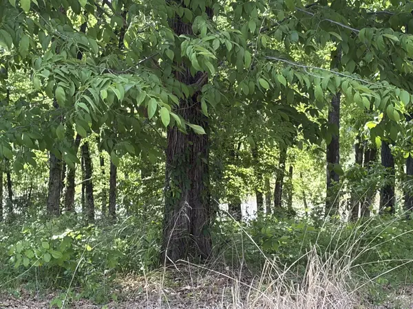120 kiki cove, Clifton, TN 38425