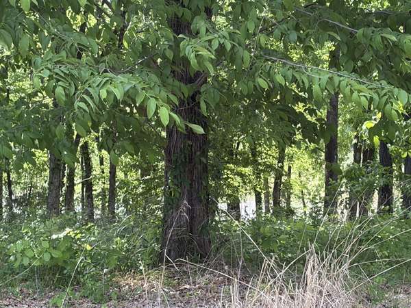 120 kiki cove, Clifton, TN 38425
