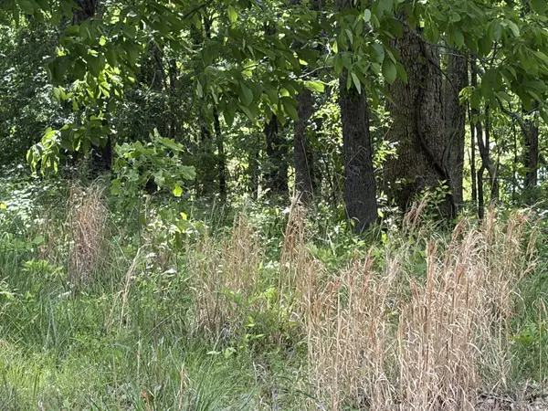 120 kiki cove, Clifton, TN 38425