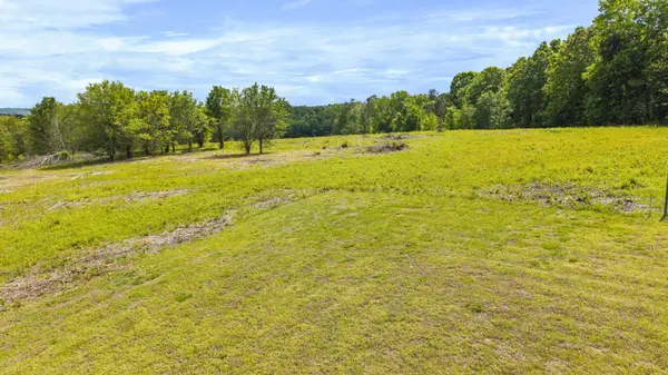 10006 Birchwood Pike, Harrison, TN 37341