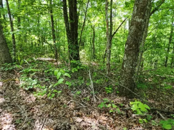 0 Forest Trail Lane, Celina, TN 38551