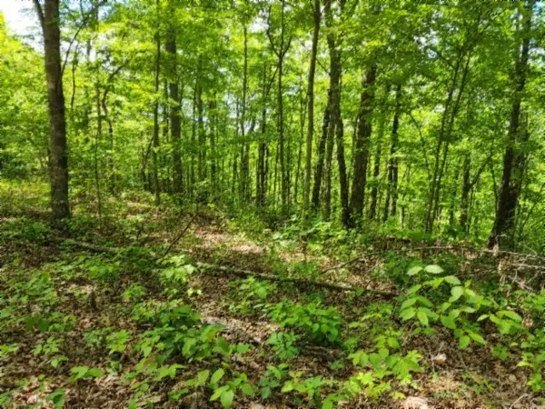 0 Forest Trail Lane, Celina, TN 38551