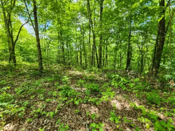 0 Forest Trail Lane, Celina, TN 38551