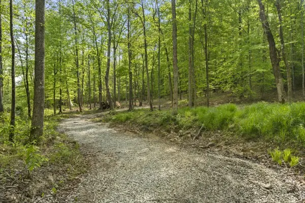 1240 Tanner Hollow Rd, Centerville, TN 37033