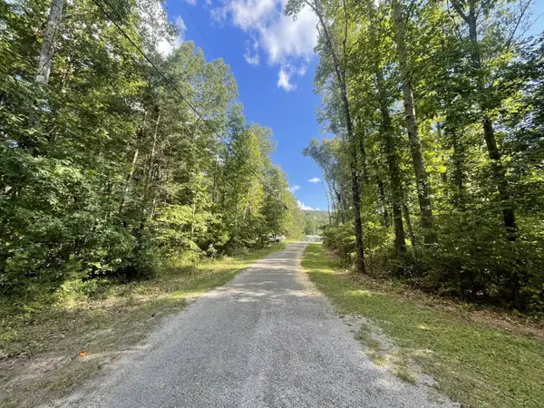 0 Caldwell Rd, Gruetli Laager, TN 37339