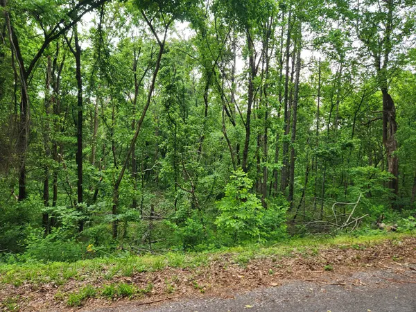 0 Thompson Hill Road, Bethpage, TN 37022