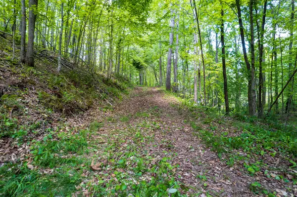 1 Hwy 100, Centerville, TN 37033