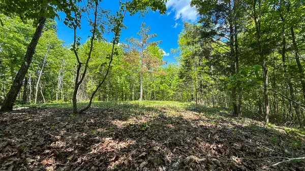 1 Hwy 100, Centerville, TN 37033