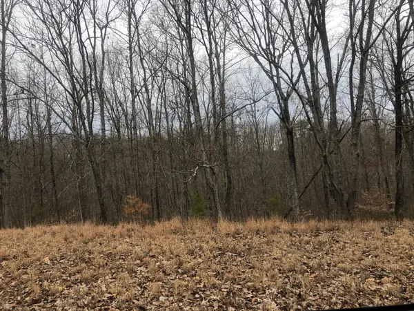 99 Deepwood Dr, Waverly, TN 37185